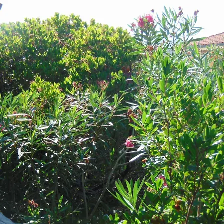 Homestay Quartiere Lu Calteri S.teresa Gallura