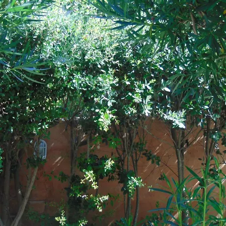 Homestay Quartiere Lu Calteri S.teresa Gallura